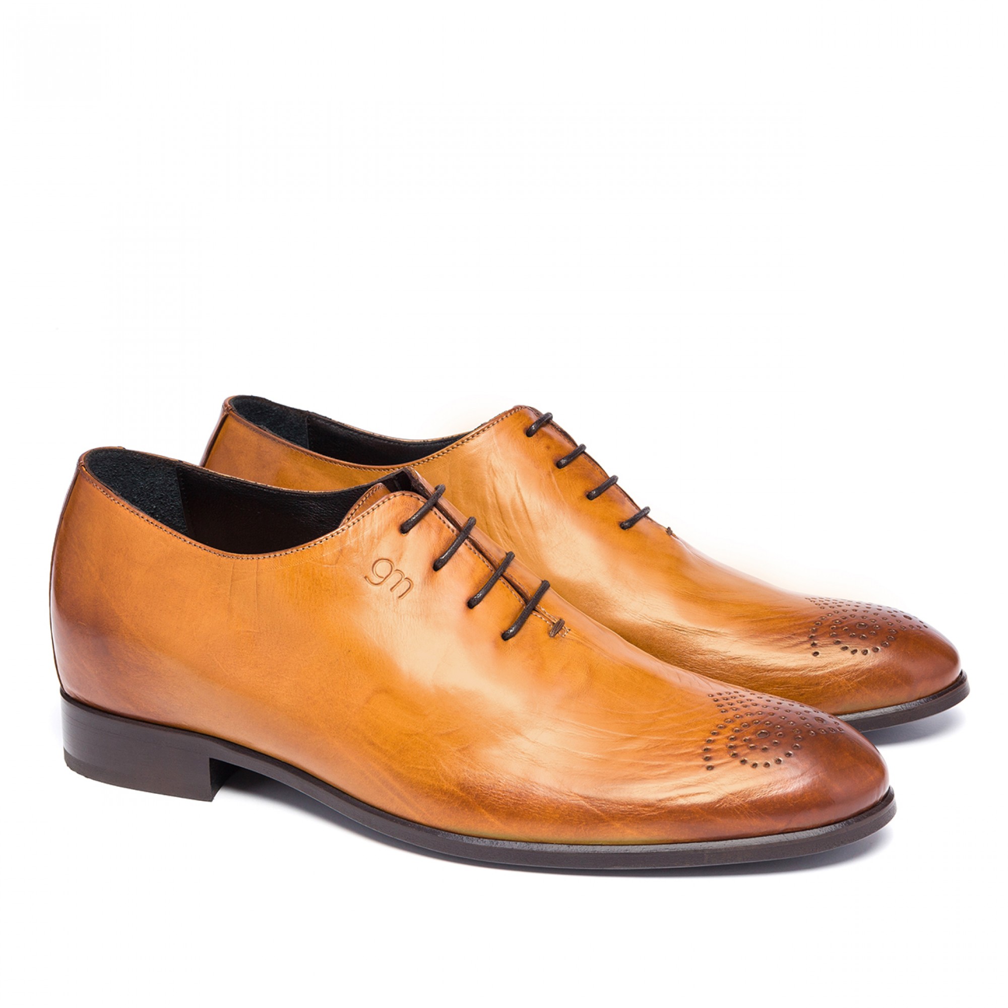 car shoe