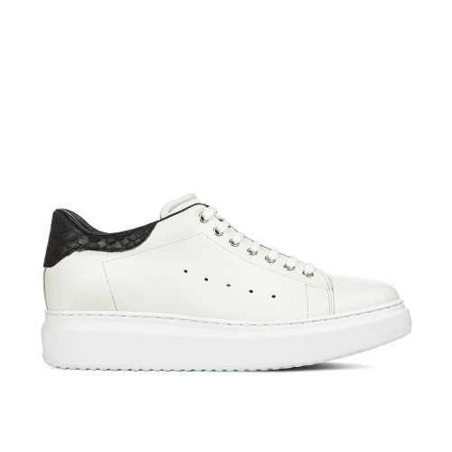 Alexander - Sneakers Esotiche casual con rialzo interno in Pelle Pitone da 6 a 8 cm più alto